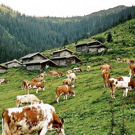 Pension Enzian Niederau Kültér fotó